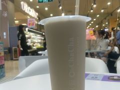 -噢茶茶Oh Cha Cha
