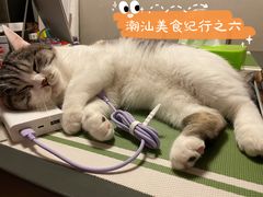 -潮汕味道·煮海餐厅(金麟大厦店)