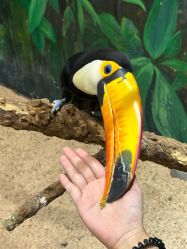 -Zoolung Zoolung动物主题公园(海信广场店)