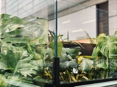 -Jardin D’Hiver宝诗龙后花园(北京SKP店)