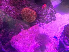 -沈阳海洋探索中心