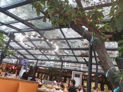 -海岛八号龙虾烧烤田鸡(蓝天路总店)