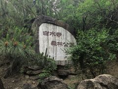 -白水寺森林公园