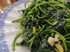 清炒地瓜叶-老友谊餐厅(319国道店)