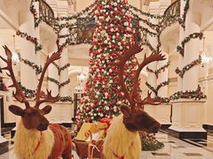 -羿庭 Peacock Alley(上海外滩华尔道夫酒店)