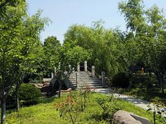 -紫薇公园