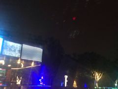 -枫花园汽车电影院(朝阳公园店)