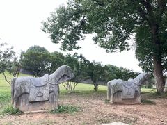 -雨花胜境