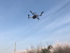 -明秦王墓遗址