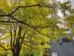 -四川大学(华西校区)