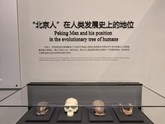 -北京周口店北京人遗址博物馆
