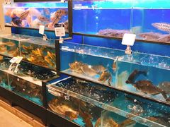 水产区-盒马鲜生(宝地店)