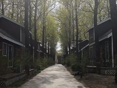 -林栖谷森林康养度假区