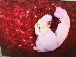 -婴爱儿童摄影 BabyloveStudio(中山门店)