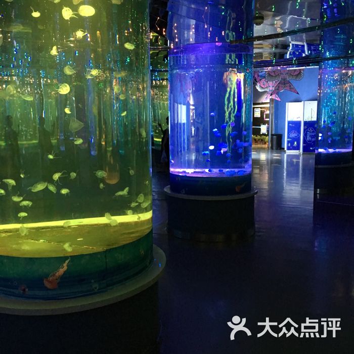 石家庄海悦天地海洋公园