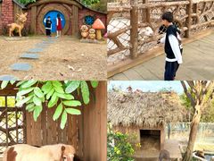 -佛冈森波拉度假区