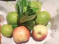 -季季山·云南野生菌火锅(上海首店)