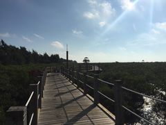 -北海金海湾红树林生态旅游区