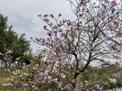 -凤岭儿童公园