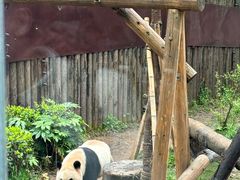 -杭州动物园