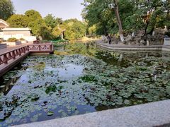 -莲湖公园