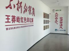 -王莽岭风景区