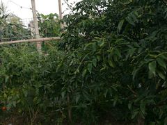 -润记农家菜