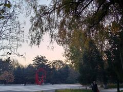 -万泉公园