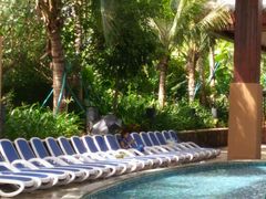 -亚马逊丛林水乐园