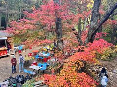 -关门山森林公园