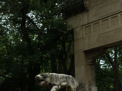-灵谷景区