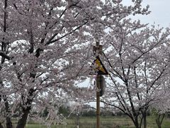-长田漾湿地公园