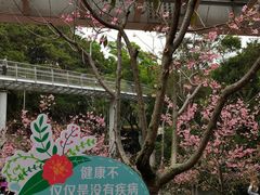 -狐尾山公园