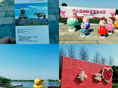 -杭州湾海上花田景区