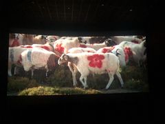 -卢米埃IMAX影城(温州万象城激光店)