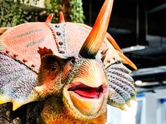 -辽宁古生物博物馆