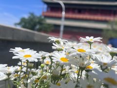-苦尽酒馆·川菜(鼓楼店)