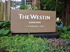-红棉中餐厅·广州海航威斯汀酒店
