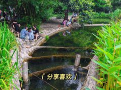 -成都市活水公园