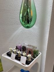 -薇薇安花系SPA