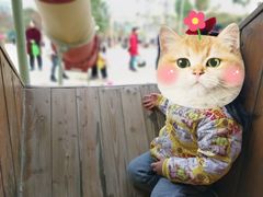 -枫香湖儿童公园