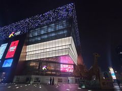 -上海长风大悦城