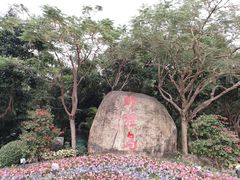 -野狸岛