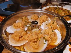 扇贝-老号尤兔头(幸福店)