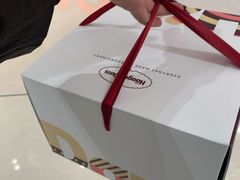 -哈根达斯(深圳海岸城店)