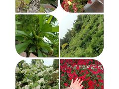 -宝鸡植物园
