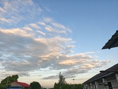 -湖南东洞庭湖国家级自然保护区