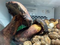 -太婆天府山珍酒楼(亚运村店)