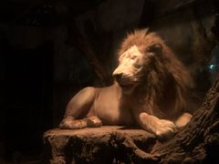 -清迈夜间动物园