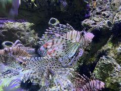 -太平洋海底世界